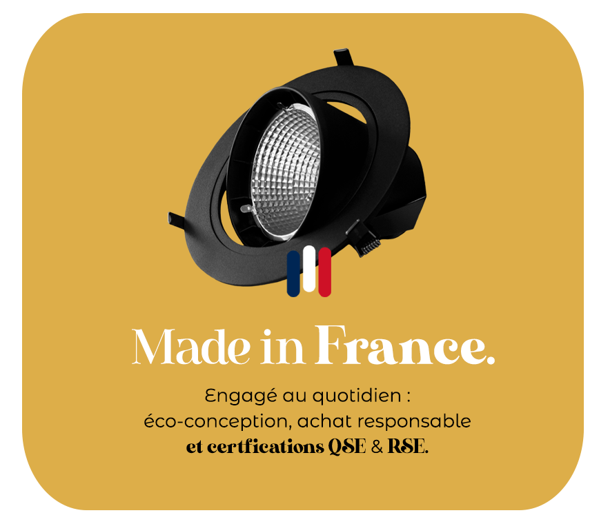CACTUS LED-VISUEL MADE IN FRANCE02
